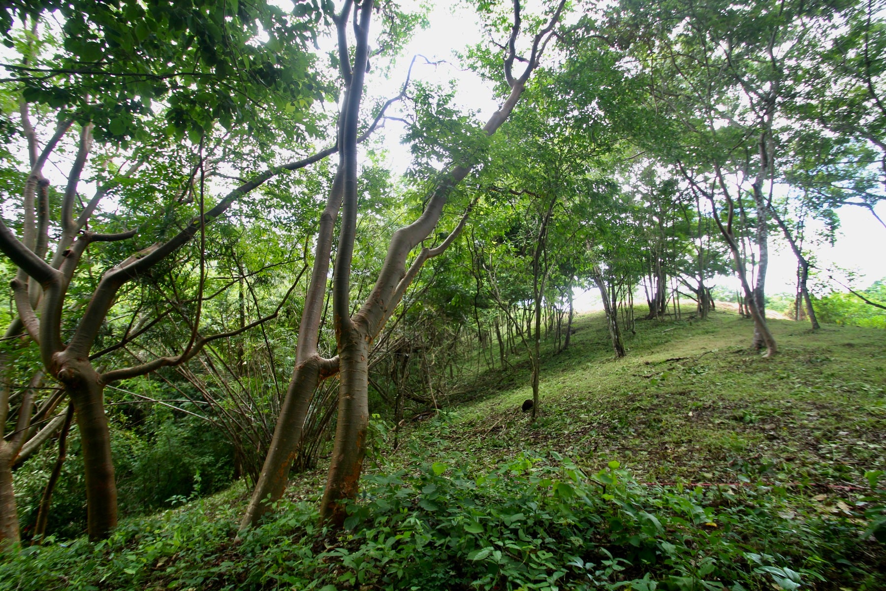 Santiago Hills Privacy and Views Galore minutes to Playa Hermosa Beach! , Santiago, Santiago, Santa Teresa, Puntarenas, Costa Rica 60111 Santiago Hills Privacy and Views Galore minutes to Playa Hermosa Beach! , Santiago, Santiago, Santa Teresa, Puntarenas, Costa Rica 60111