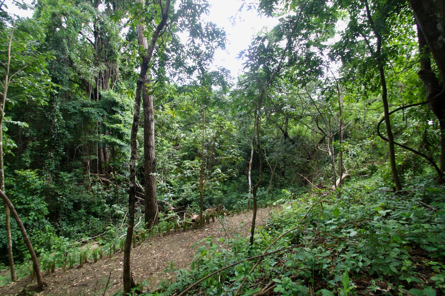 Santiago Hills Privacy and Views Galore minutes to Playa Hermosa Beach! , Santiago, Santiago, Santa Teresa, Puntarenas, Costa Rica 60111 Santiago Hills Privacy and Views Galore minutes to Playa Hermosa Beach! , Santiago, Santiago, Santa Teresa, Puntarenas, Costa Rica 60111