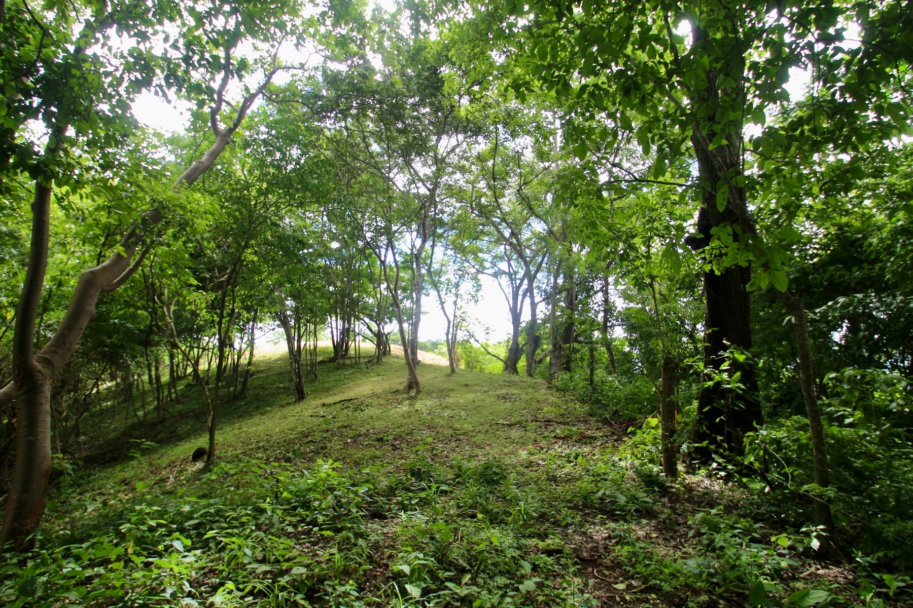 Santiago Hills Privacy and Views Galore minutes to Playa Hermosa Beach! , Santiago, Santiago, Santa Teresa, Puntarenas, Costa Rica 60111 Santiago Hills Privacy and Views Galore minutes to Playa Hermosa Beach! , Santiago, Santiago, Santa Teresa, Puntarenas, Costa Rica 60111