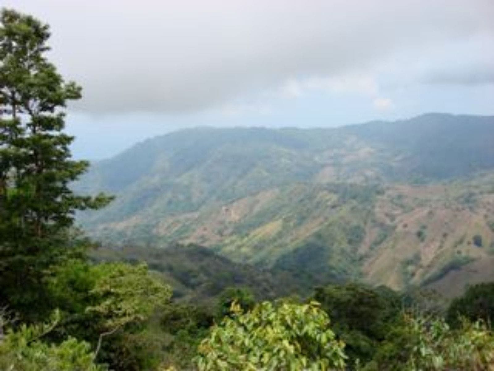 25 acres with Pacific Ocean and Mountains View with Creek and Waterfalls — photo 11 of 19