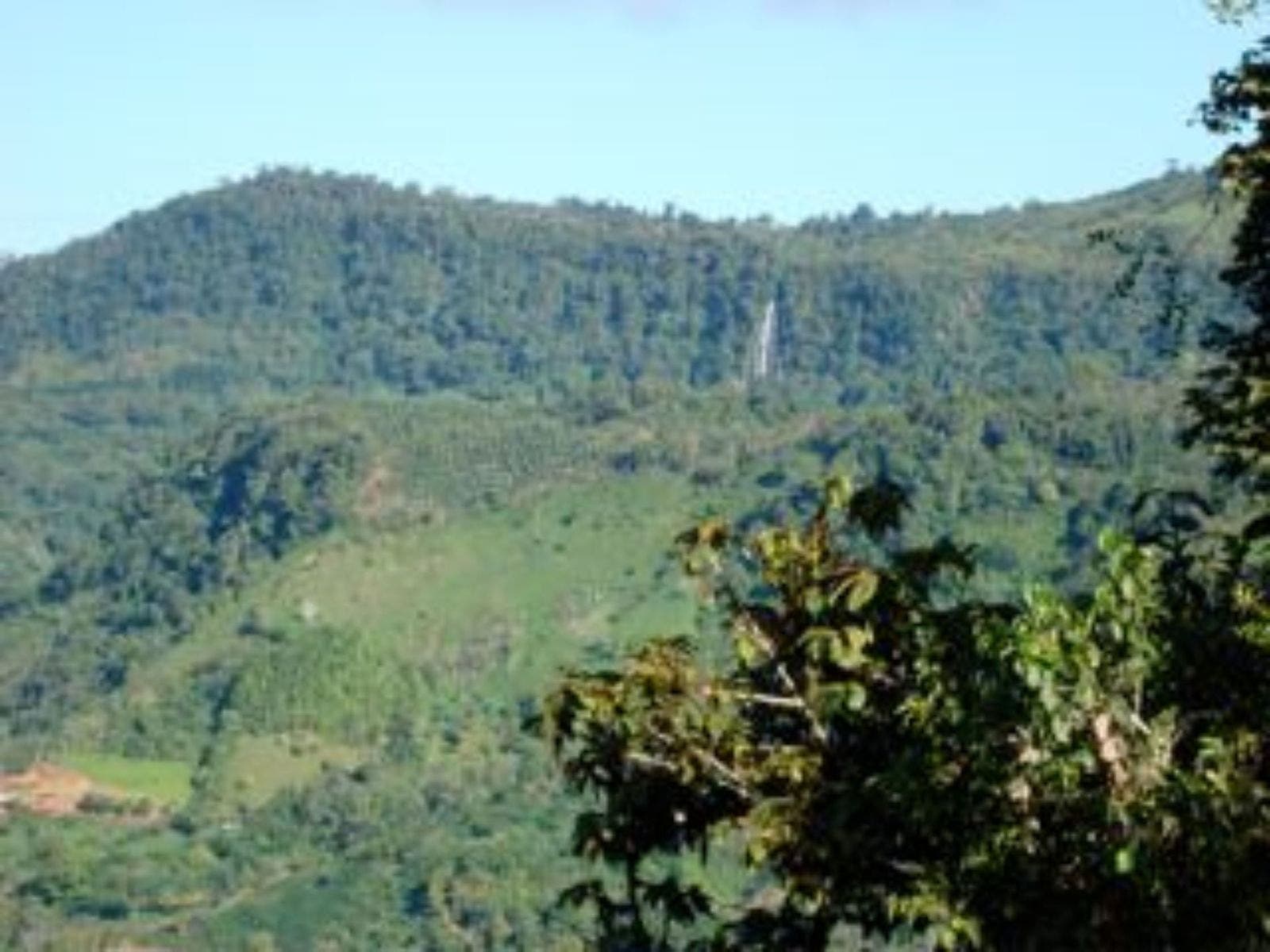 25 acres with Pacific Ocean and Mountains View with Creek and Waterfalls — photo 13 of 19