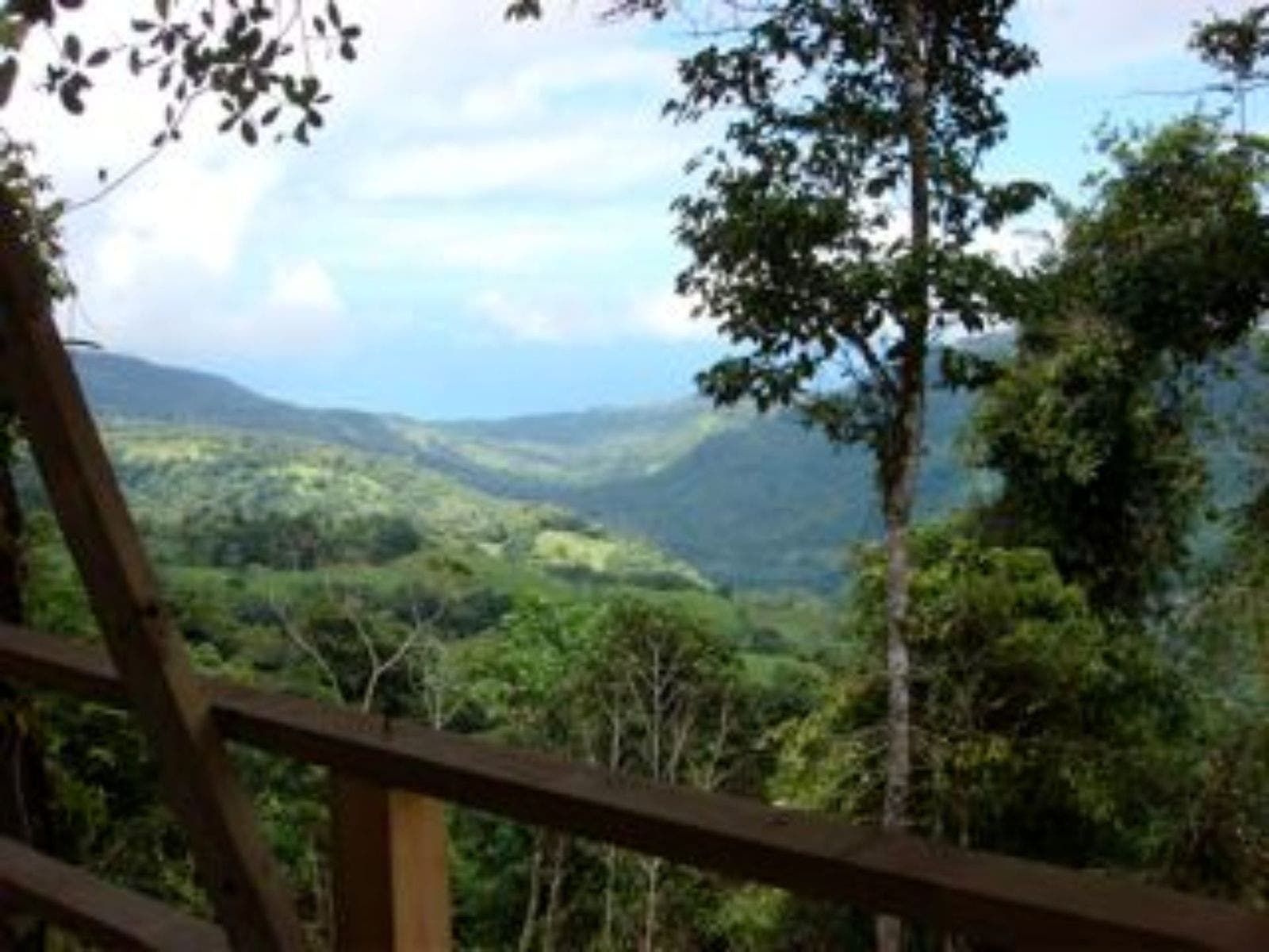 25 acres with Pacific Ocean and Mountains View with Creek and Waterfalls — photo 6 of 19