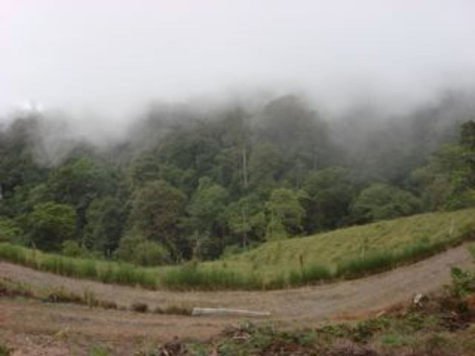 25 acres with Pacific Ocean and Mountains View with Creek and Waterfalls — photo 18 of 19