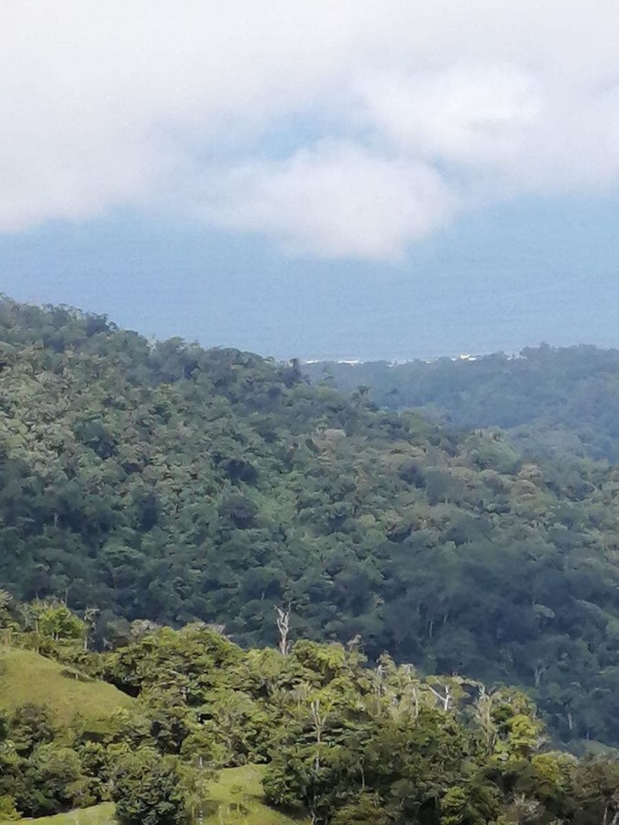 25 acres with Pacific Ocean and Mountains View with Creek and Waterfalls — photo 3 of 19