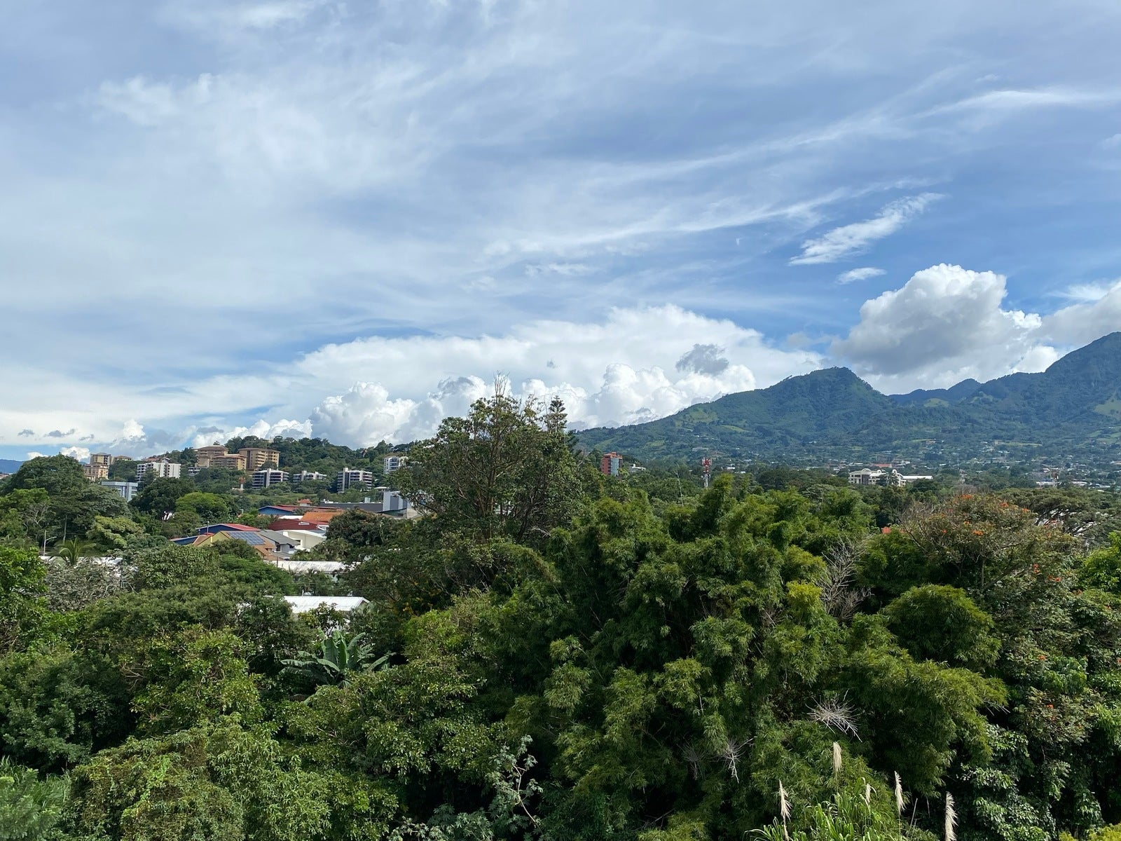 The Rooftop View Penthouse — photo 15 of 15
