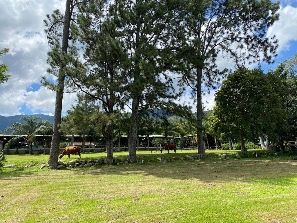 Salitral Lot in Private Community — foto 2 de 3