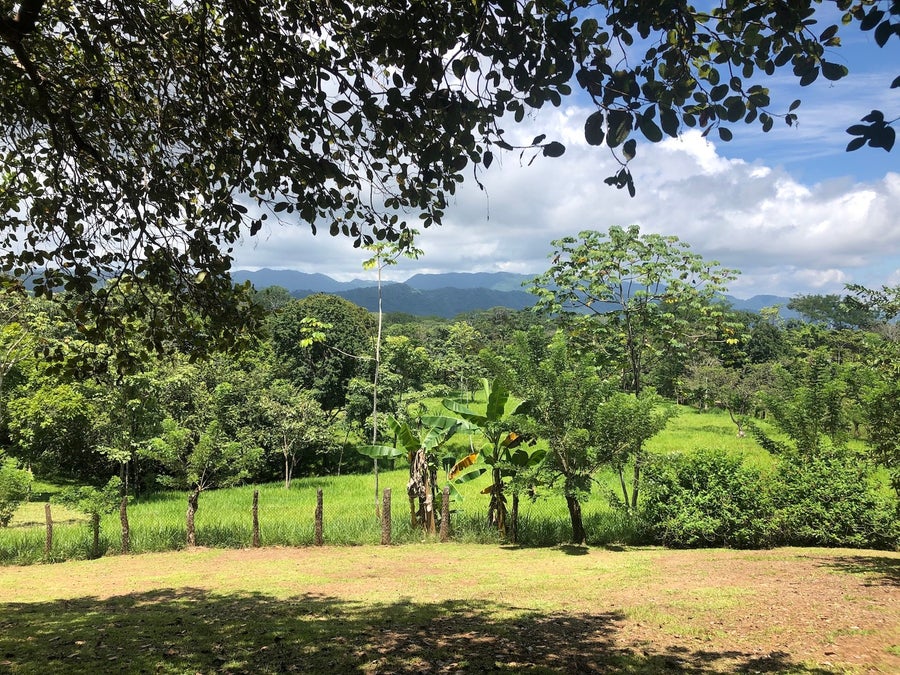 Property photo for Gorgeous Large Farm in Montezuma, Montezuma, Cobano, Puntarenas, Puntarenas, Costa Rica