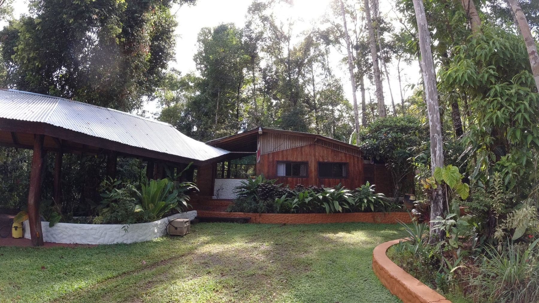 Serene Coast - Amazing Ocean View Immersed on the Tropical Rainforest — photo 3 of 19