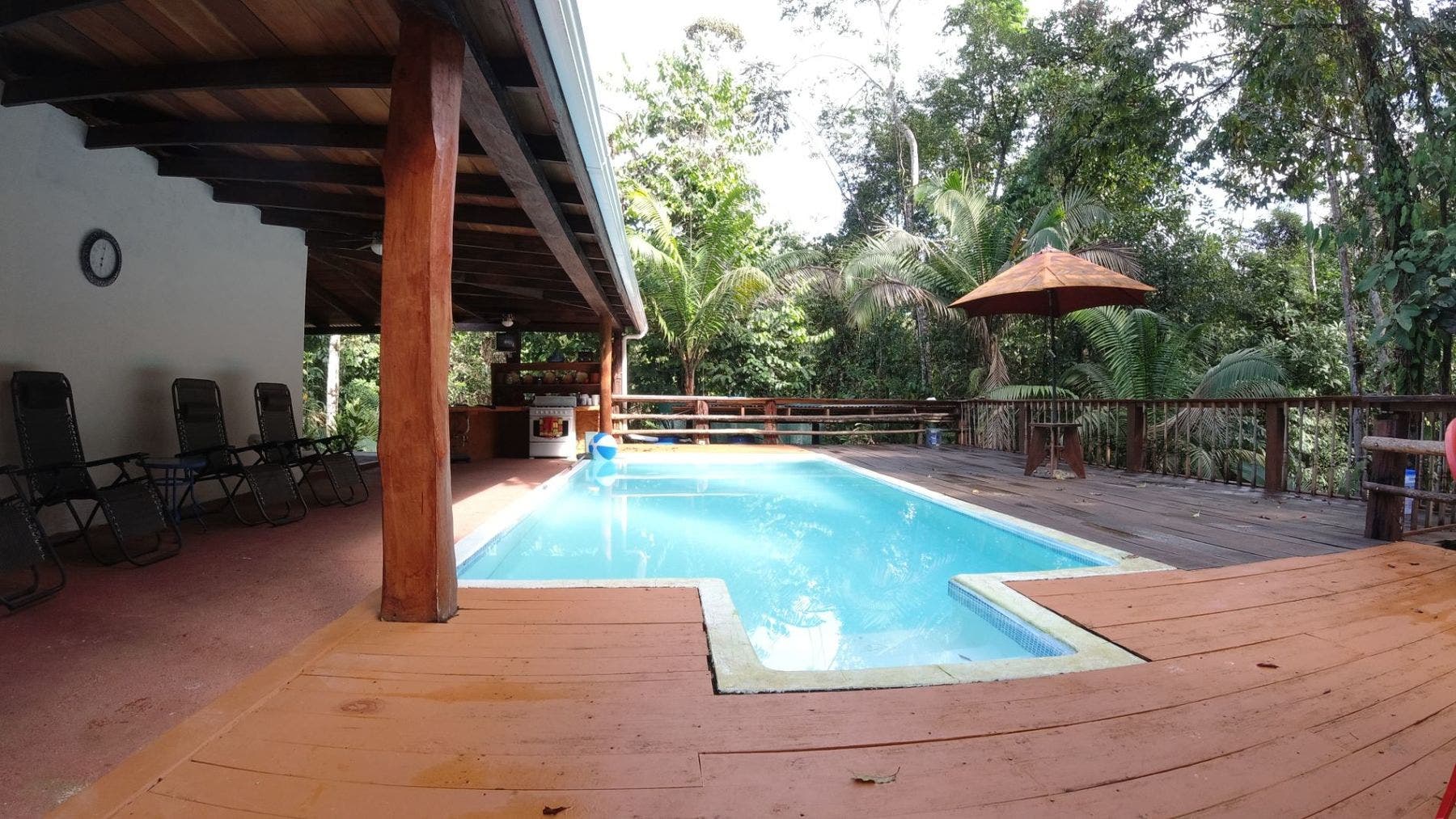Serene Coast - Amazing Ocean View Immersed on the Tropical Rainforest — photo 5 of 19