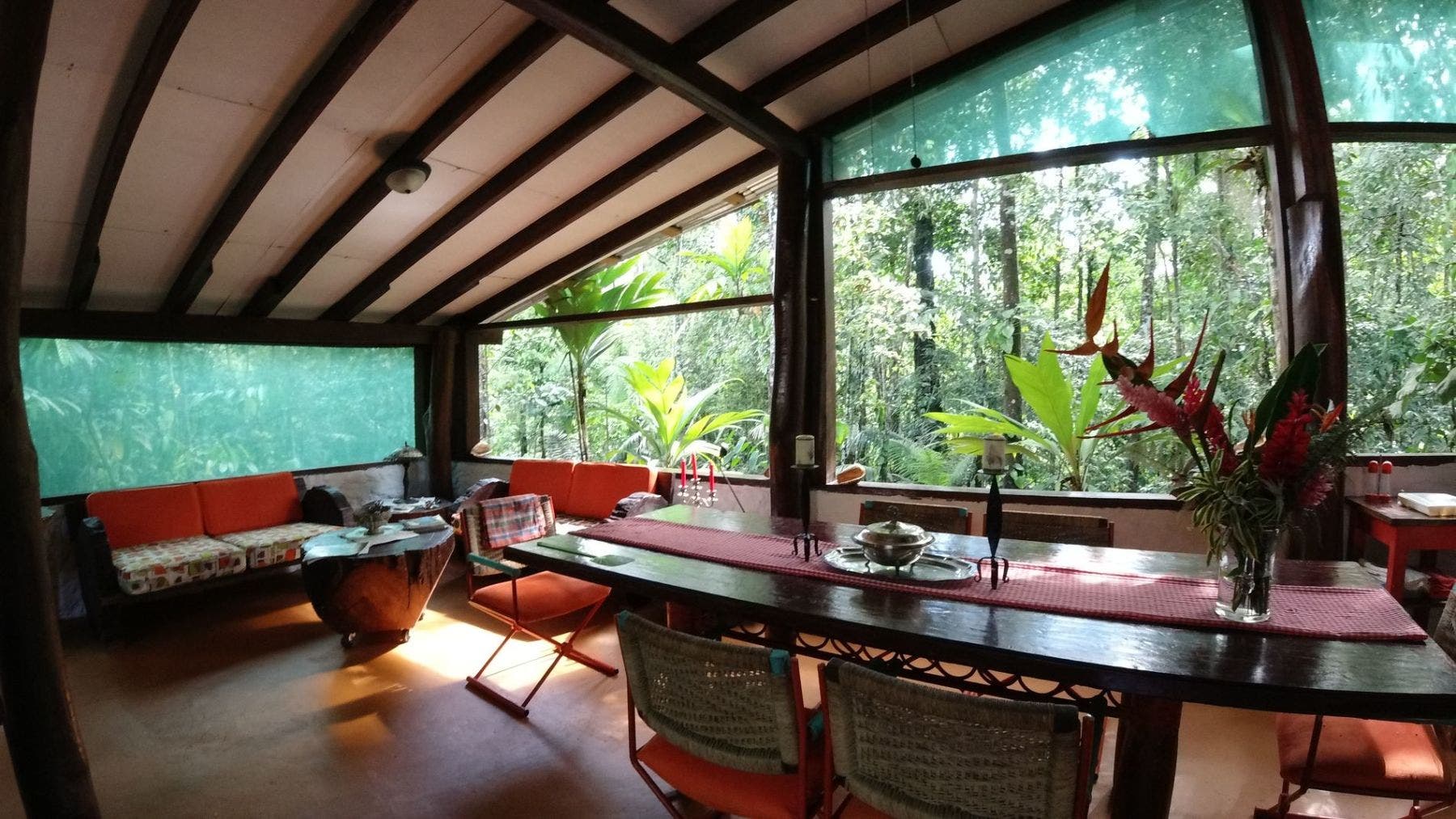 Serene Coast - Amazing Ocean View Immersed on the Tropical Rainforest — photo 6 of 19