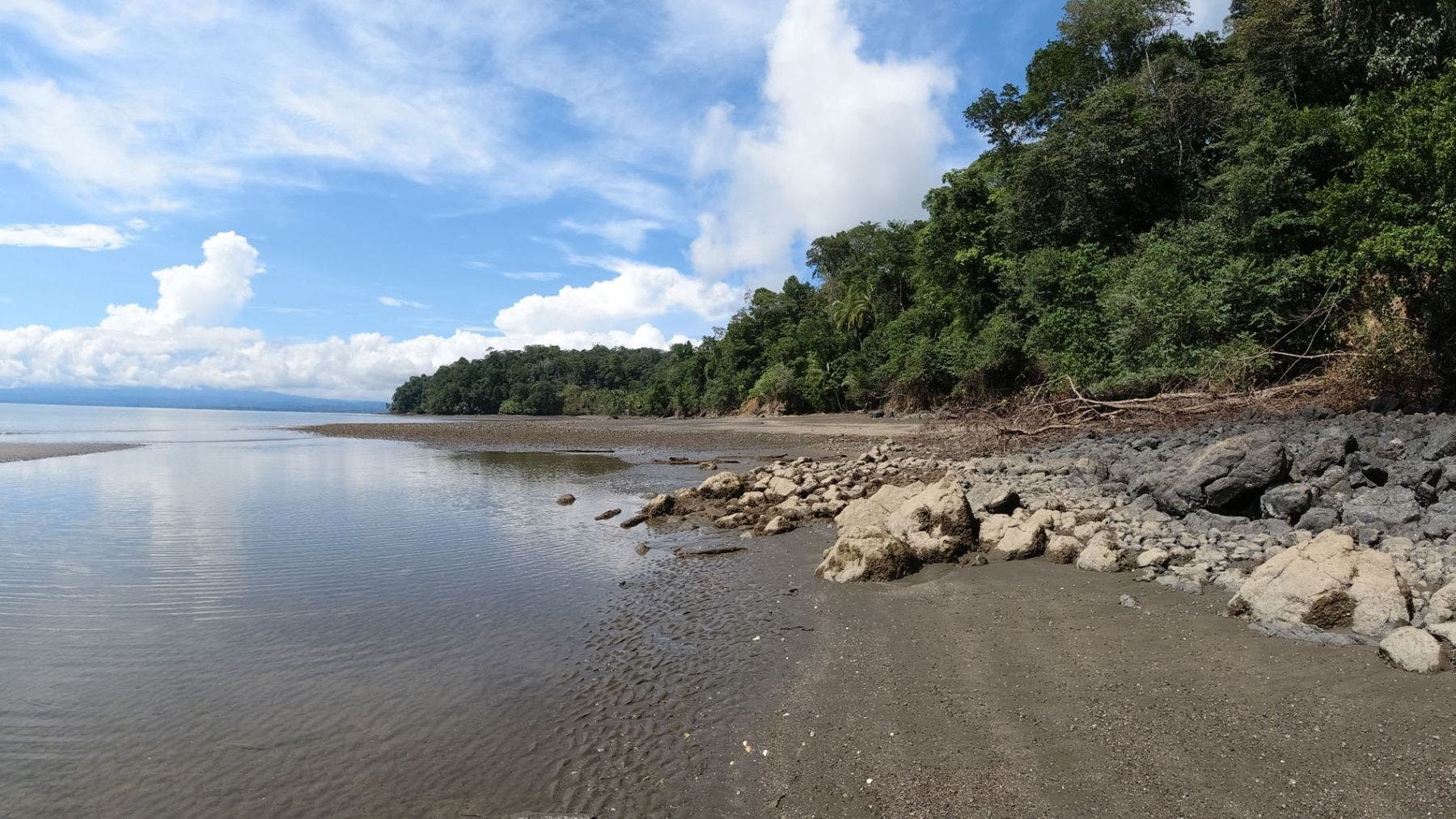 Serene Coast - Amazing Ocean View Immersed on the Tropical Rainforest, Golfito, Puerto Jimenez, Golfito, Puntarenas, Costa Rica 60701