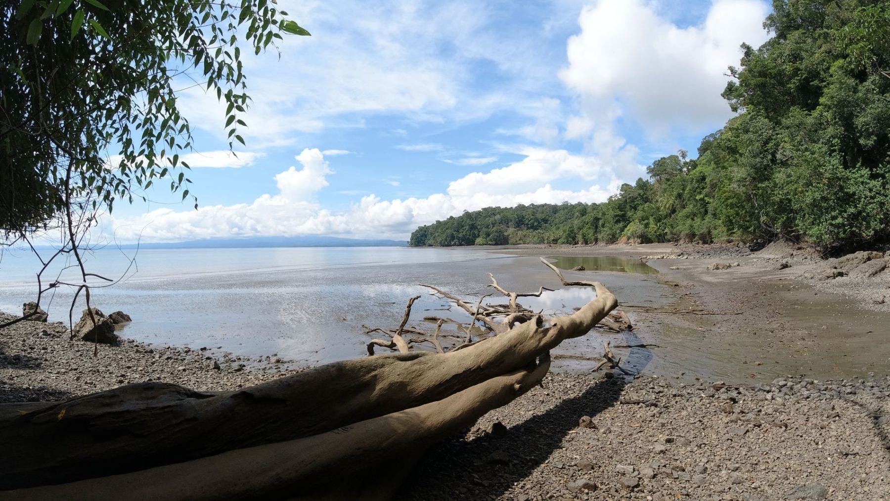 Serene Coast - Amazing Ocean View Immersed on the Tropical Rainforest — photo 16 of 19