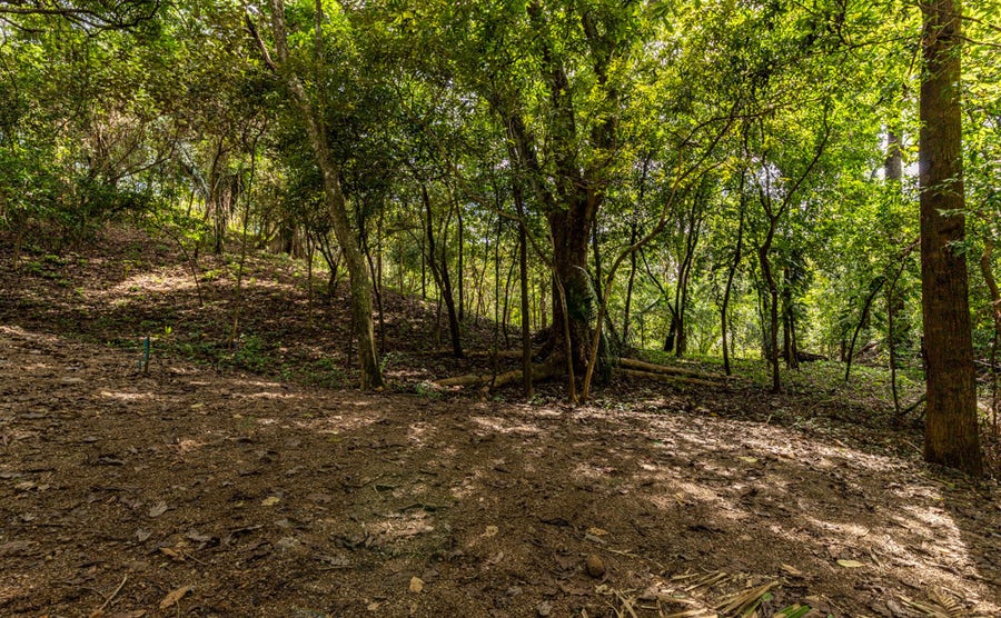 Property photo for Playa Pelada Jungle Lots, Playa Pelada, Nosara, Nosara, Nicoya, Guanacaste, Costa Rica