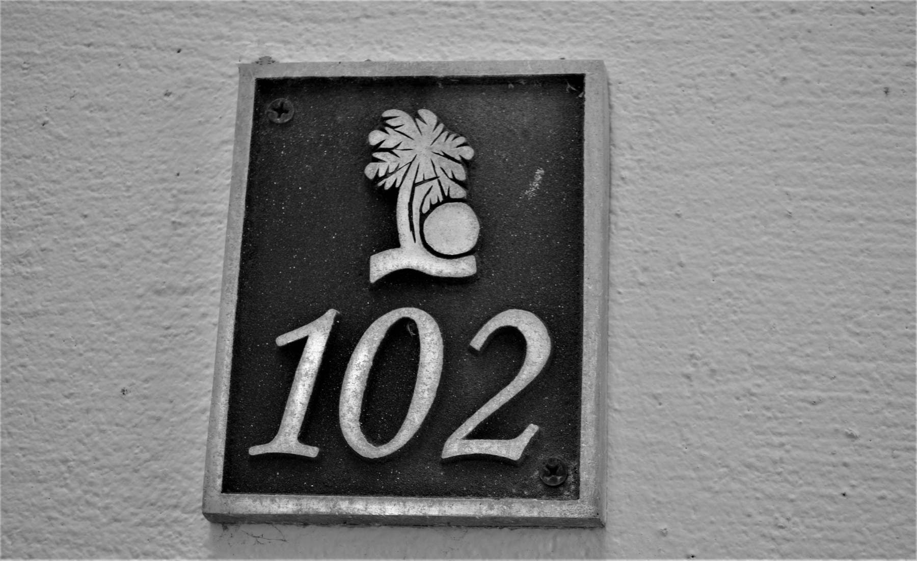 Amazing Ocean view Rooftop 102 — photo 4 of 16