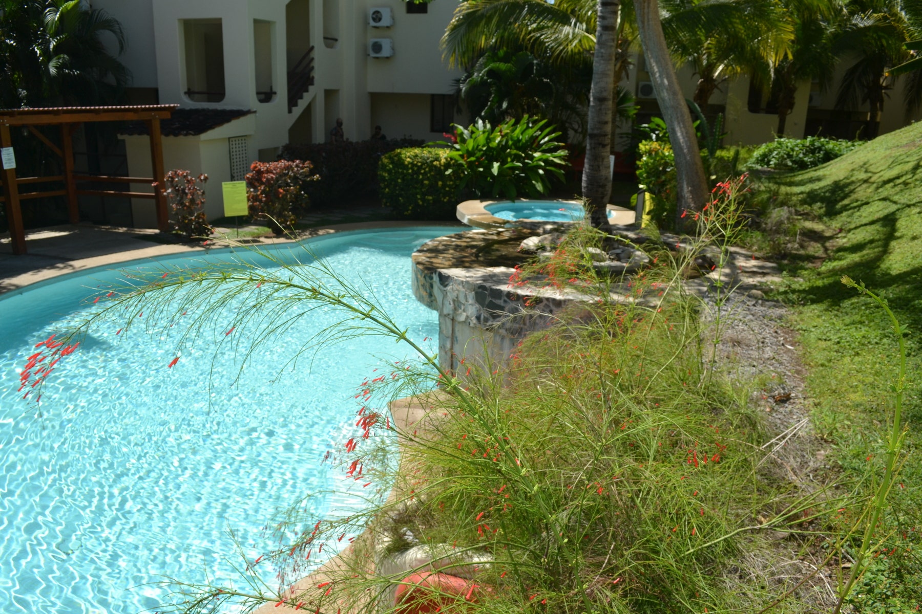Amazing Ocean view Rooftop 102 — photo 12 of 16