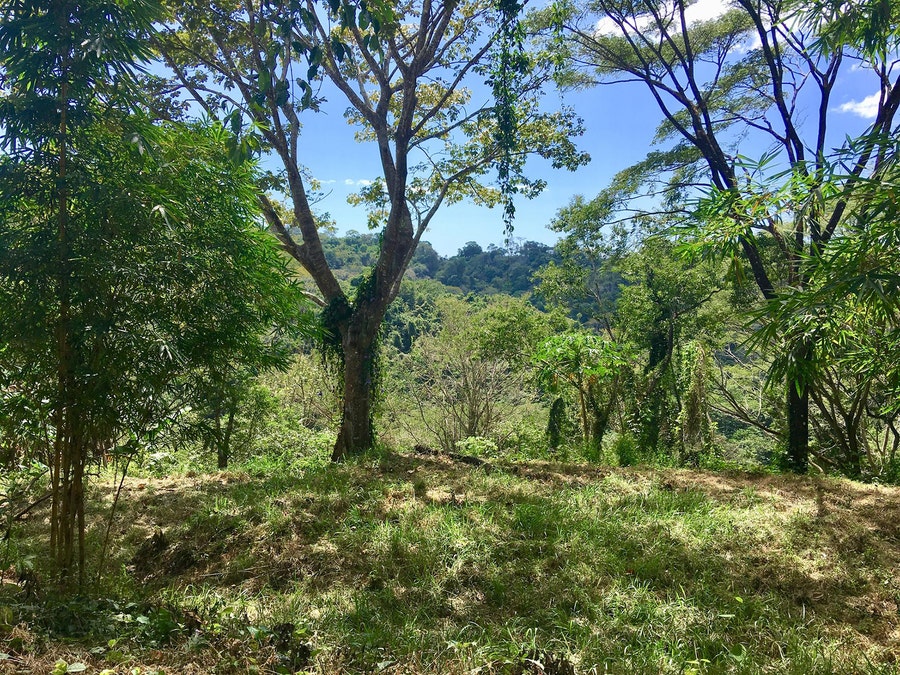 Property photo for Santiago Partial Ocean View Property, Santa Teresa, Puntarenas, Costa Rica