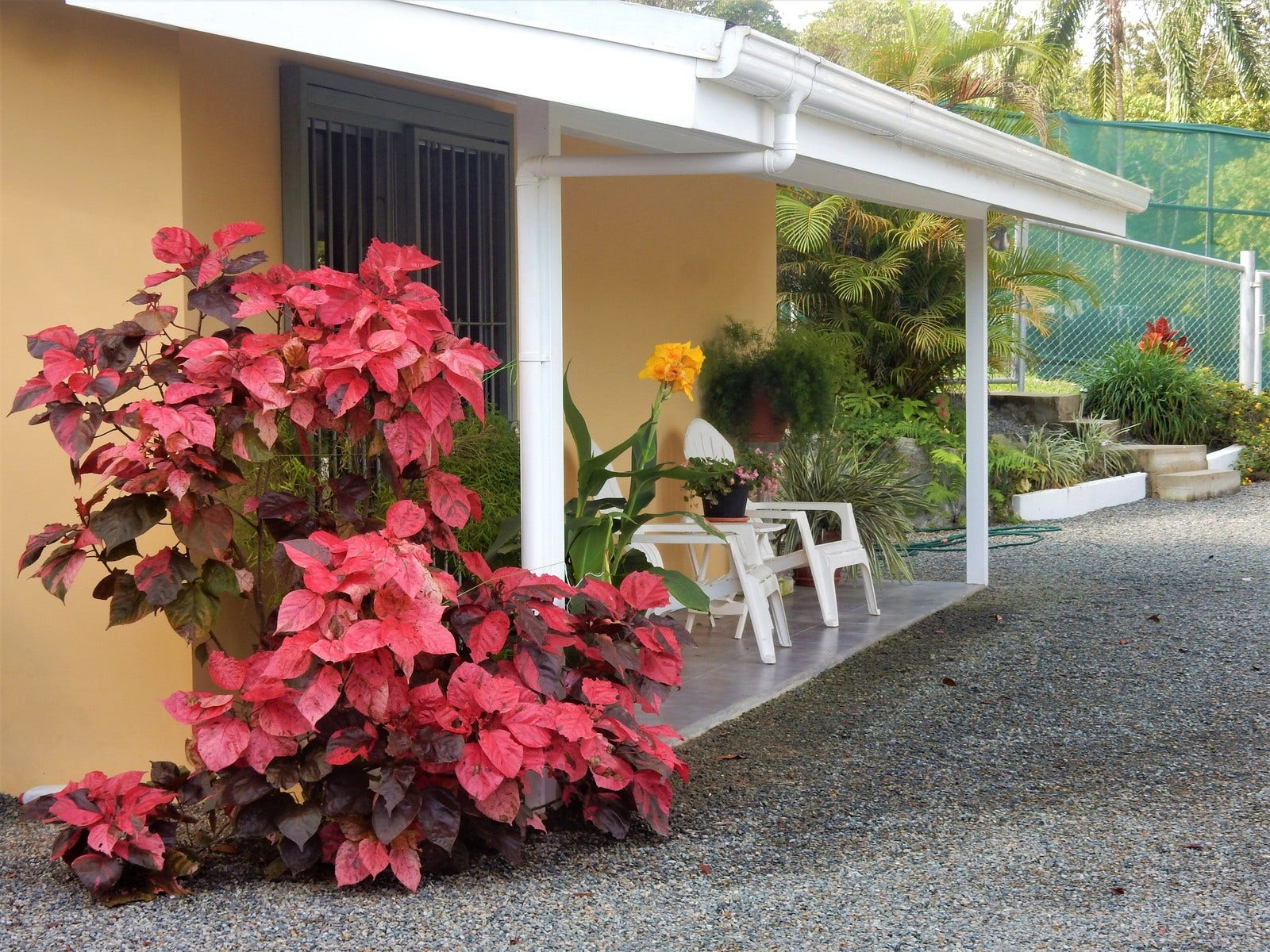Platanillo, Home with Guest Cottage — foto 3 de 19
