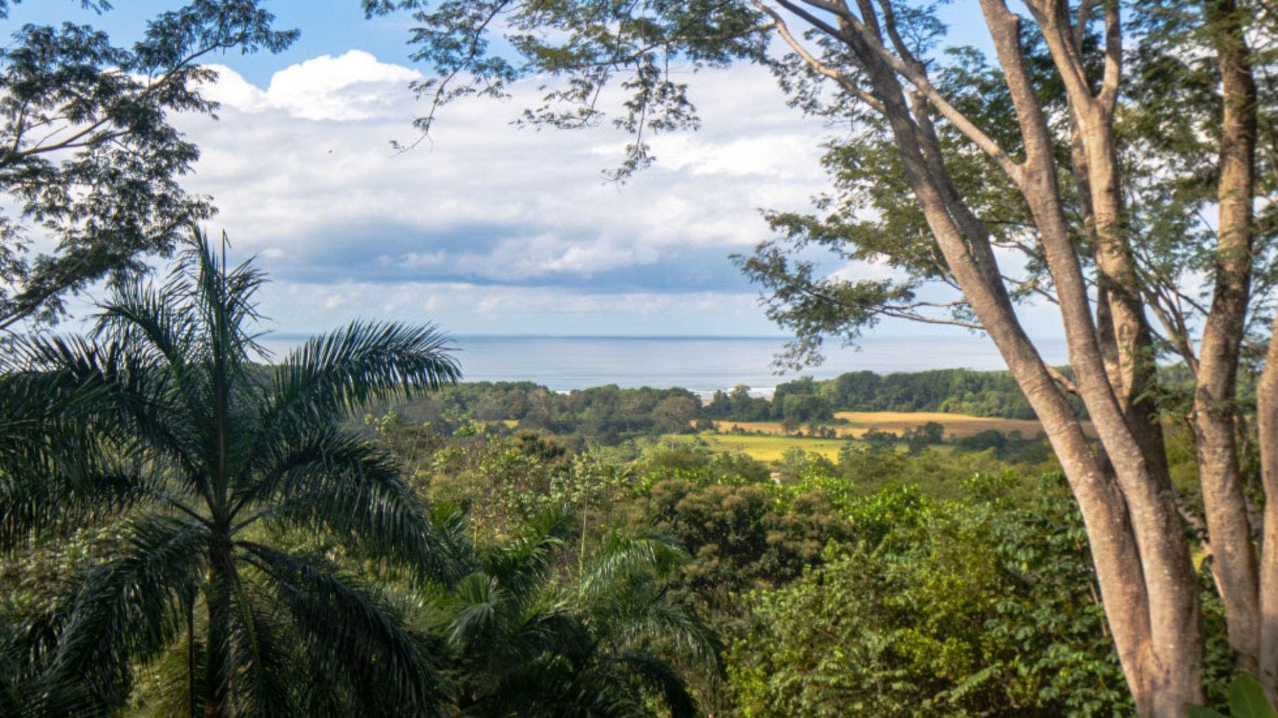 3 Bedroom Ocean View Home with Infinity Pool — photo 14 of 17