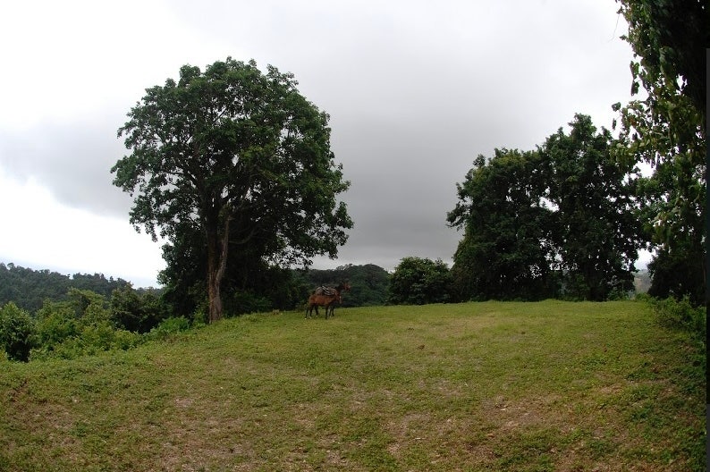 Prime Malpais Conservation and Development Property — photo 11 of 16