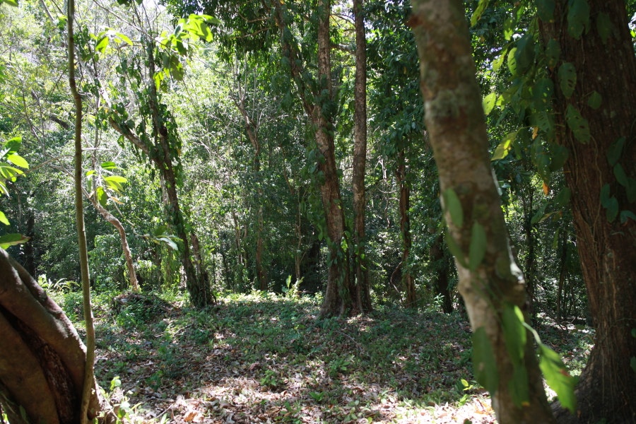 Property photo for Beautiful Residential Lot, Santa Teresa, Puntarenas, Costa Rica