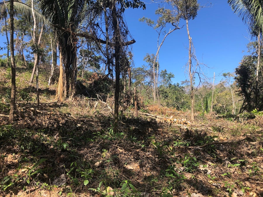 Property photo for Residential Lot in Manzanillo, Manzanillo, Santa Teresa, Cobano, Puntarenas, Puntarenas, Costa Rica