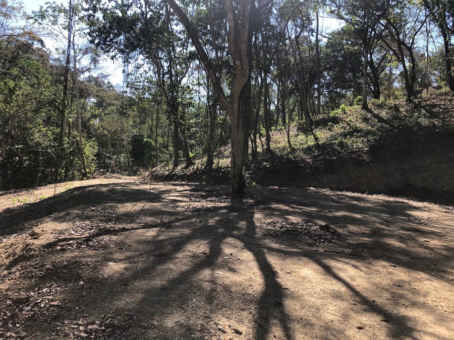 Property photo for One Hectare Residential Lot Manzanillo, Manzanillo, Santa Teresa, Cobano, Puntarenas, Puntarenas, Costa Rica