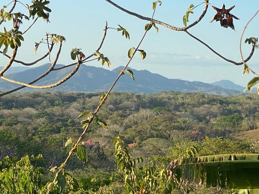Property photo for Large Valley View Land Manzanillo, Manzanillo, Santa Teresa, Cobano, Puntarenas, Puntarenas, Costa Rica
