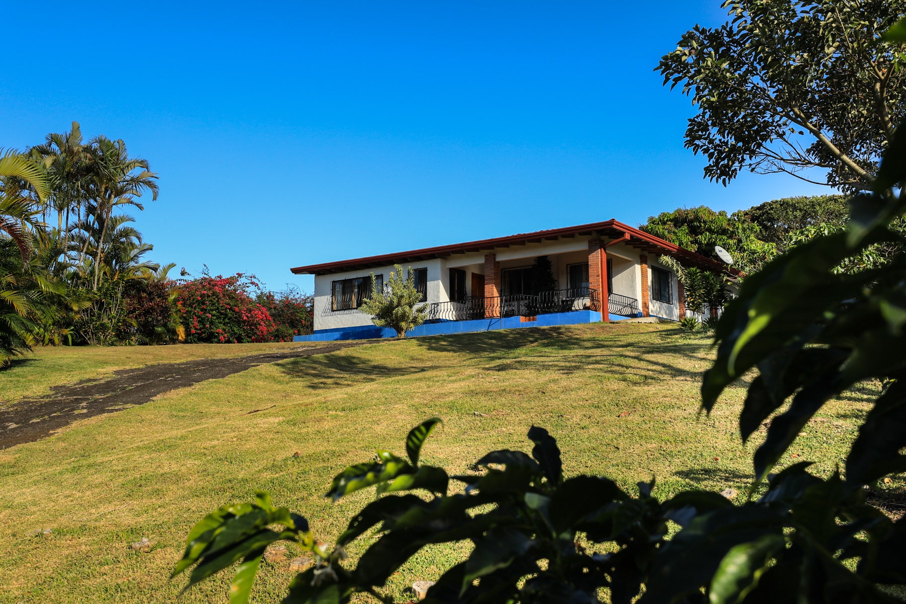 Costa Rica Legacy Coffee Farm — photo 7 of 19