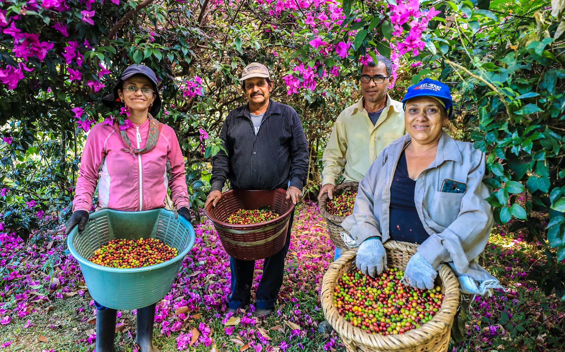 Costa Rica Legacy Coffee Farm — photo 4 of 19