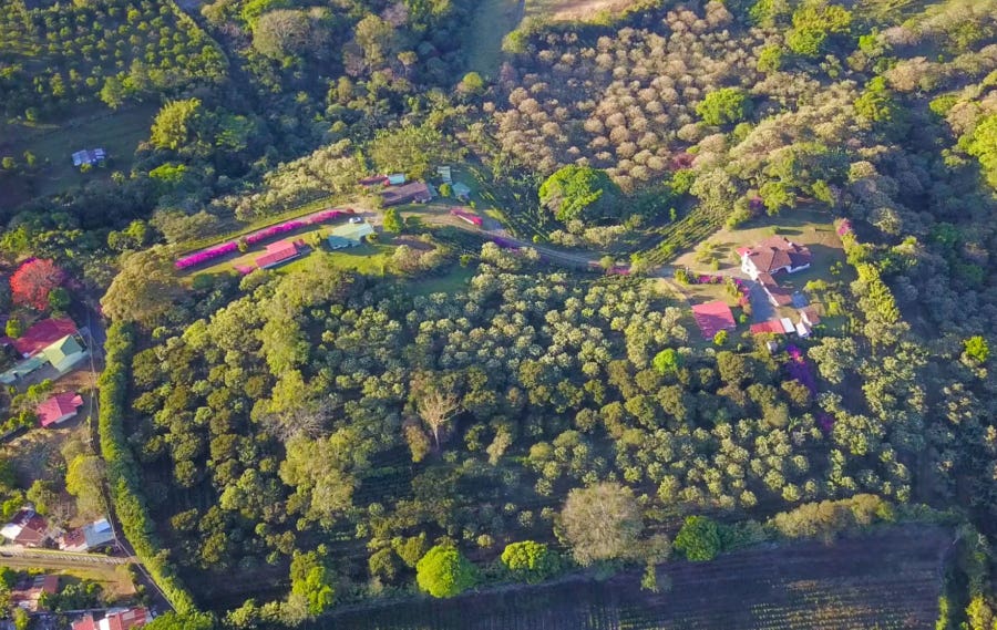 Property photo for Costa Rica Legacy Coffee Farm, Heredia, Santa Barbara, Heredia, Heredia, Costa Rica