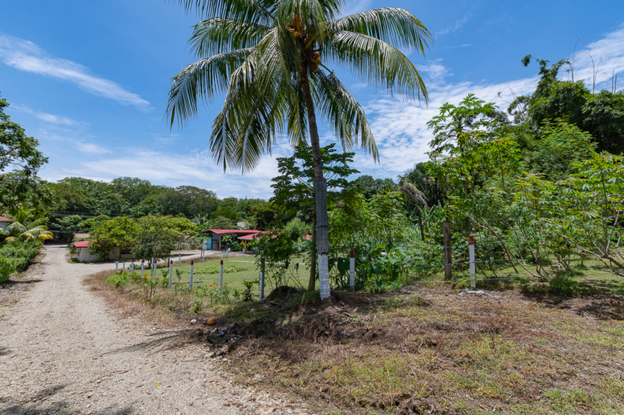 Property photo for Large commercial or residential lot in the heart of Santa Teresa, Santa Teresa, Cobano, Puntarenas, Puntarenas, Costa Rica