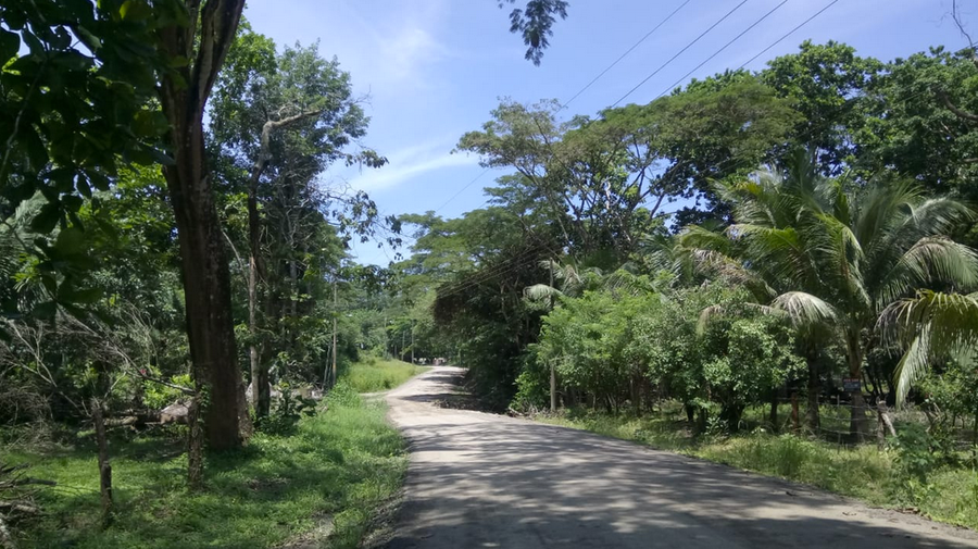 Property photo for Commercial and Residential Lot in Manzanillo, Santa Teresa, Puntarenas, Costa Rica