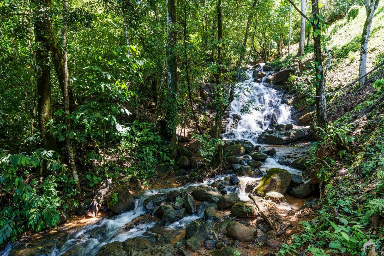Idyllic Retreat Property with Waterfall and Ocean Views — photo 4 of 19