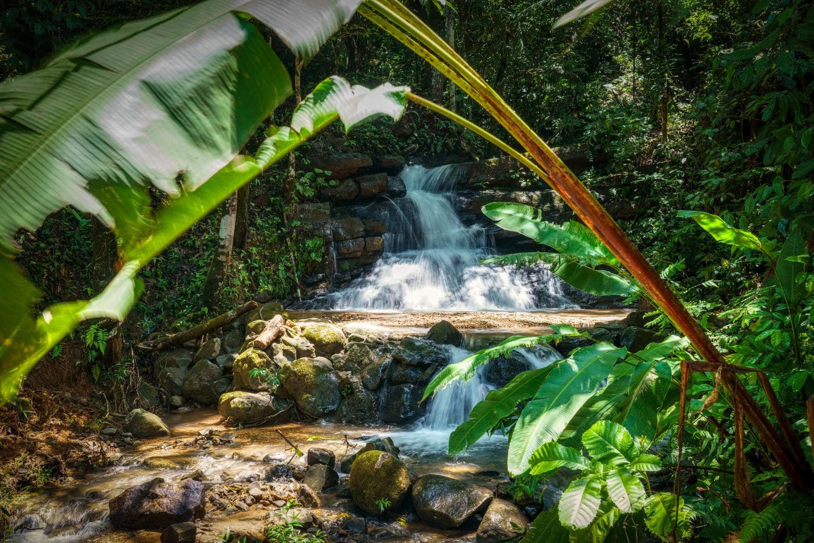 Idyllic Retreat Property with Waterfall and Ocean Views — photo 18 of 19