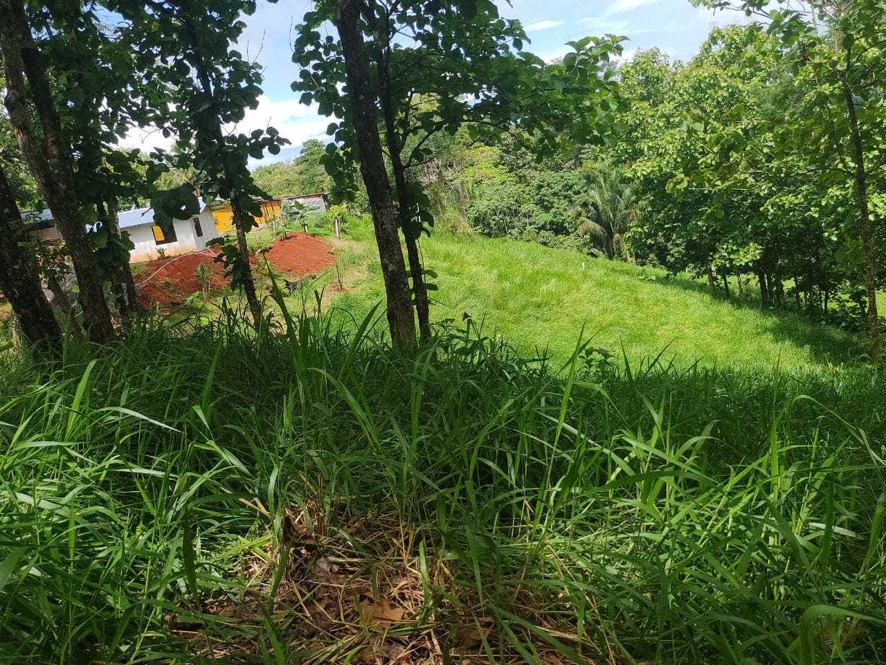 Small Home Overlooking River in Parrita — photo 5 of 10