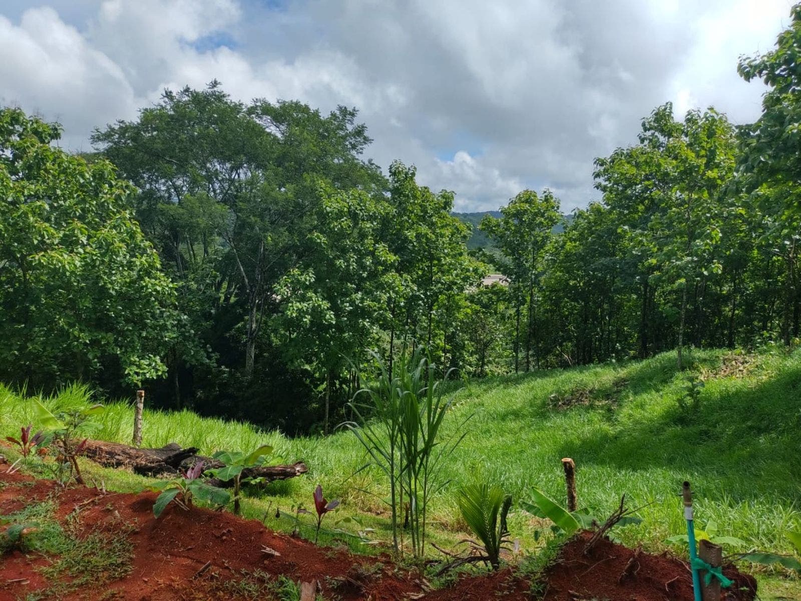 Small Home Overlooking River in Parrita — photo 10 of 10