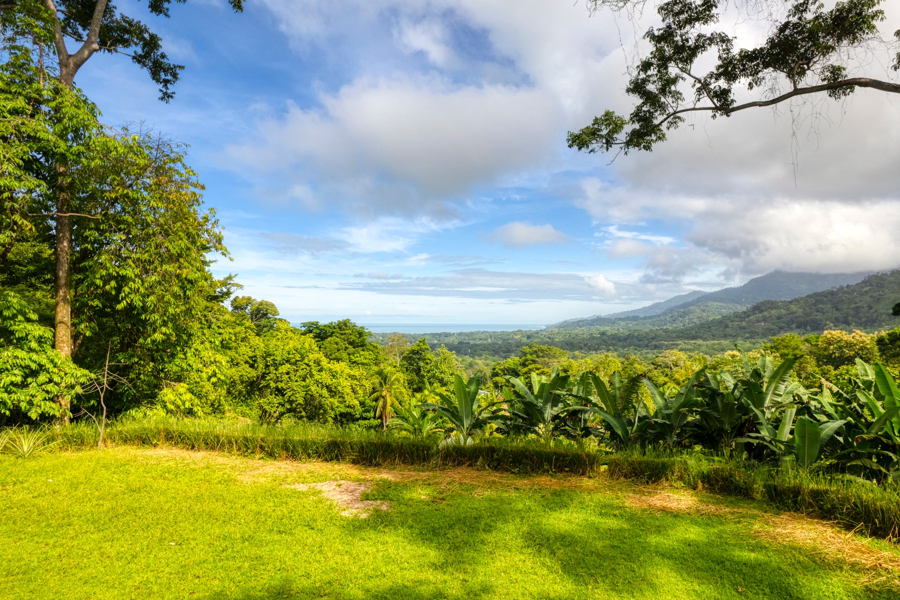 Black Eagle Estates Dream Investment in Uvita — photo 3 of 19