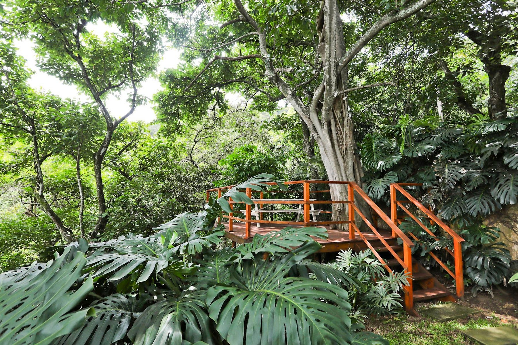 Villa Real Contemporary Private Estate — photo 10 of 18
