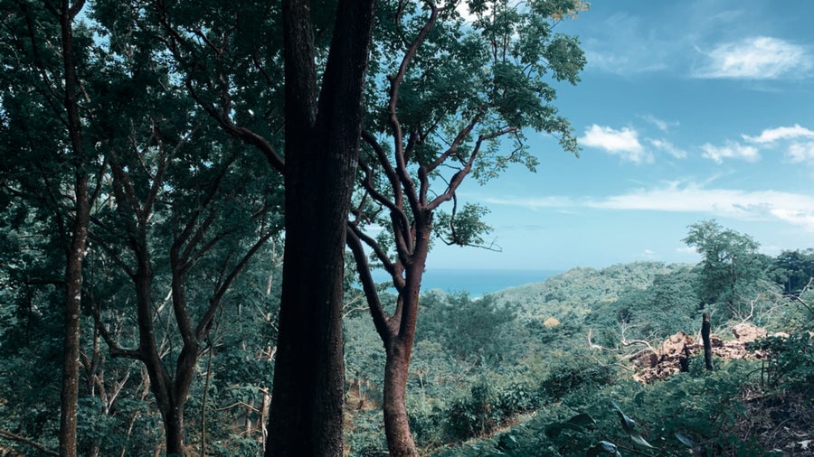 Property photo for Jungle and Ocean View Commercial Lot in Santa Teresa, Santa Teresa, Cobano, Puntarenas, Puntarenas, Costa Rica