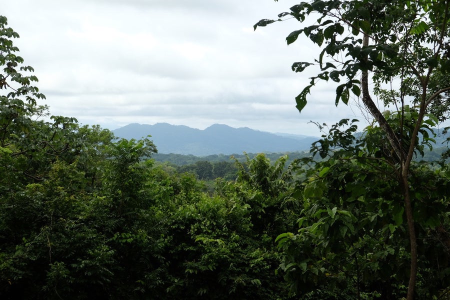 Property photo for Valley View Lot Located only 3-minutes from Playa Hermosa. , Playa Hermosa, Santa Teresa, Cobano, Puntarenas, Puntarenas, Costa Rica