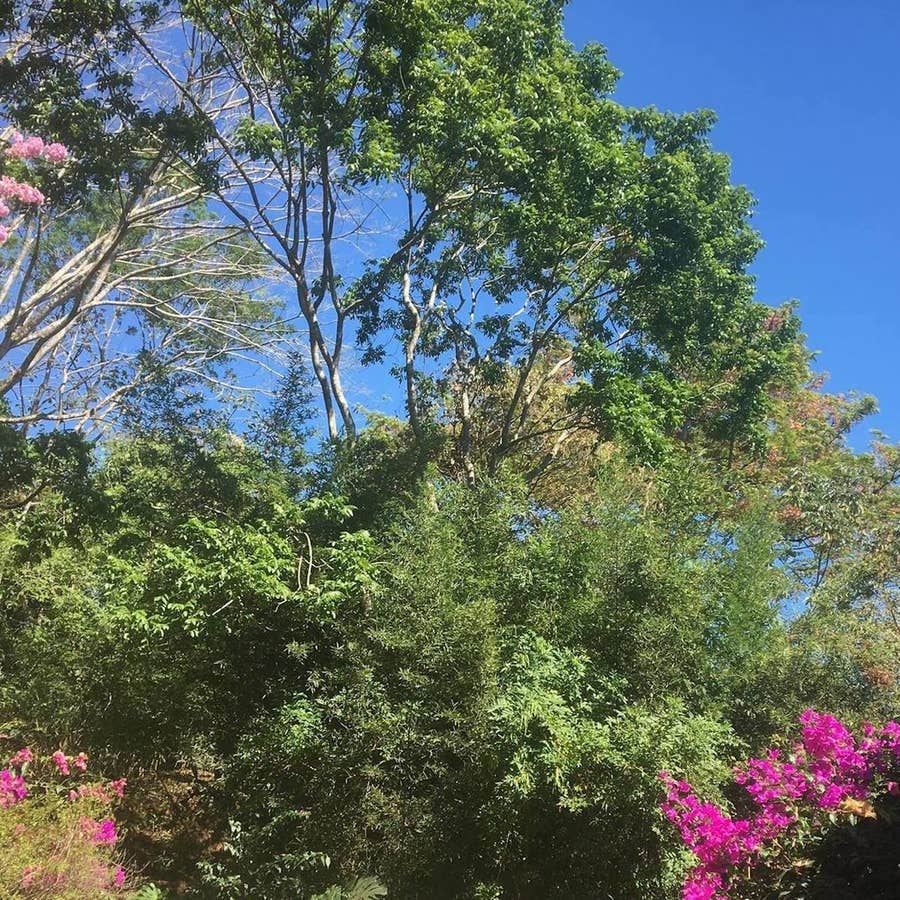 Property photo for Ciudad Colon Investment Property, Ciudad Colon, San Jose, Costa Rica