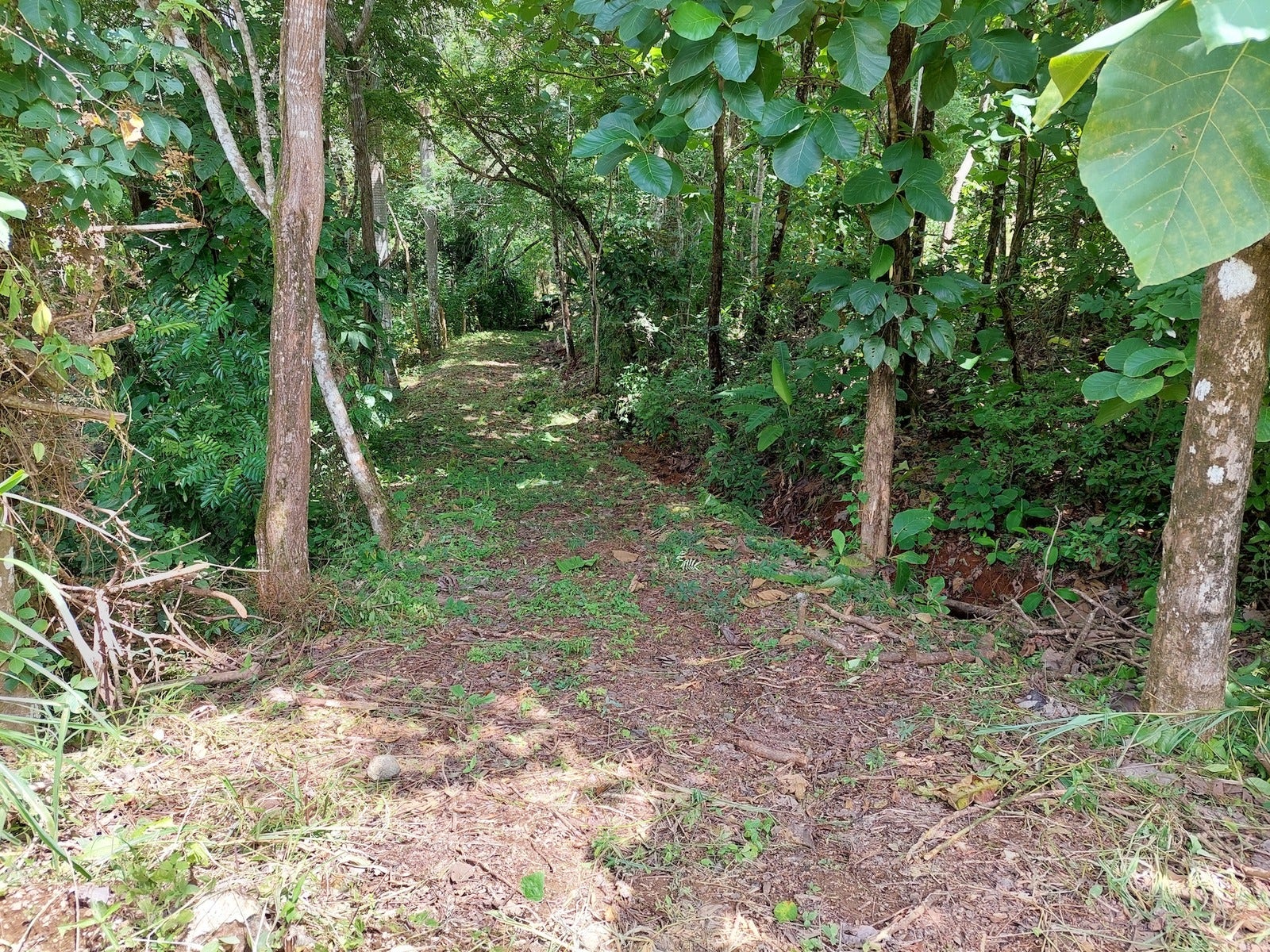 Beautiful lot in Delicias, Las Delicias, Las Delicias, Santa Teresa, Cobano, Puntarenas, Puntarenas, Costa Rica 60111