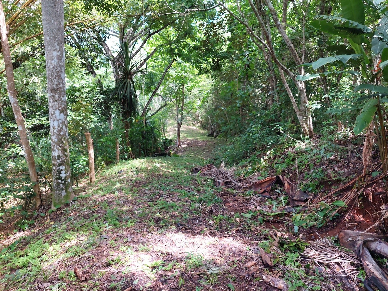 Beautiful lot in Delicias, Las Delicias, Las Delicias, Santa Teresa, Cobano, Puntarenas, Puntarenas, Costa Rica 60111