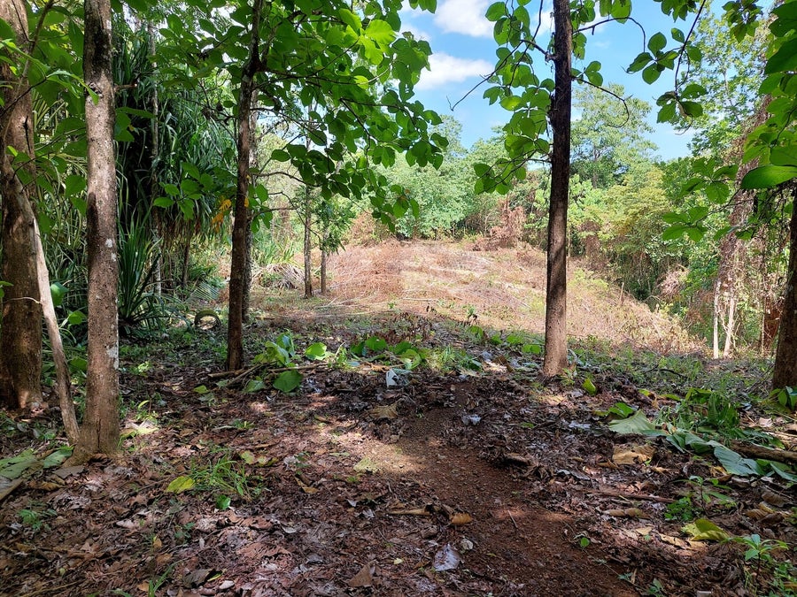 Property photo for Beautiful lot in Delicias, Las Delicias, Santa Teresa, Cobano, Puntarenas, Puntarenas, Costa Rica