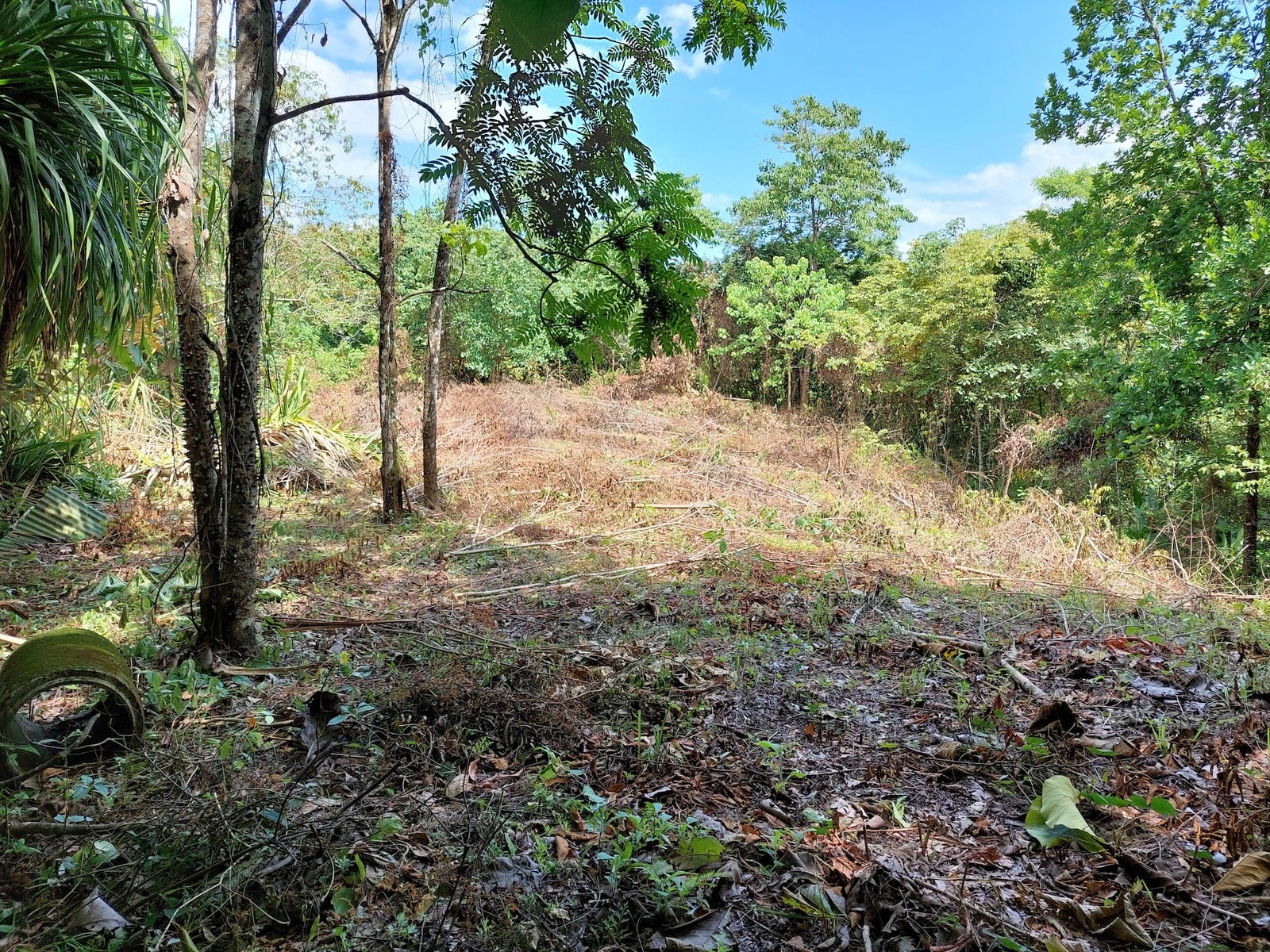 Beautiful lot in Delicias, Las Delicias, Las Delicias, Santa Teresa, Cobano, Puntarenas, Puntarenas, Costa Rica 60111