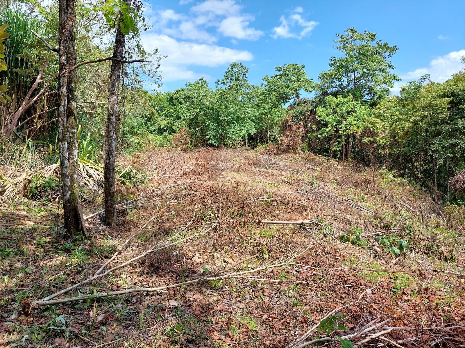 Beautiful lot in Delicias, Las Delicias, Las Delicias, Santa Teresa, Cobano, Puntarenas, Puntarenas, Costa Rica 60111