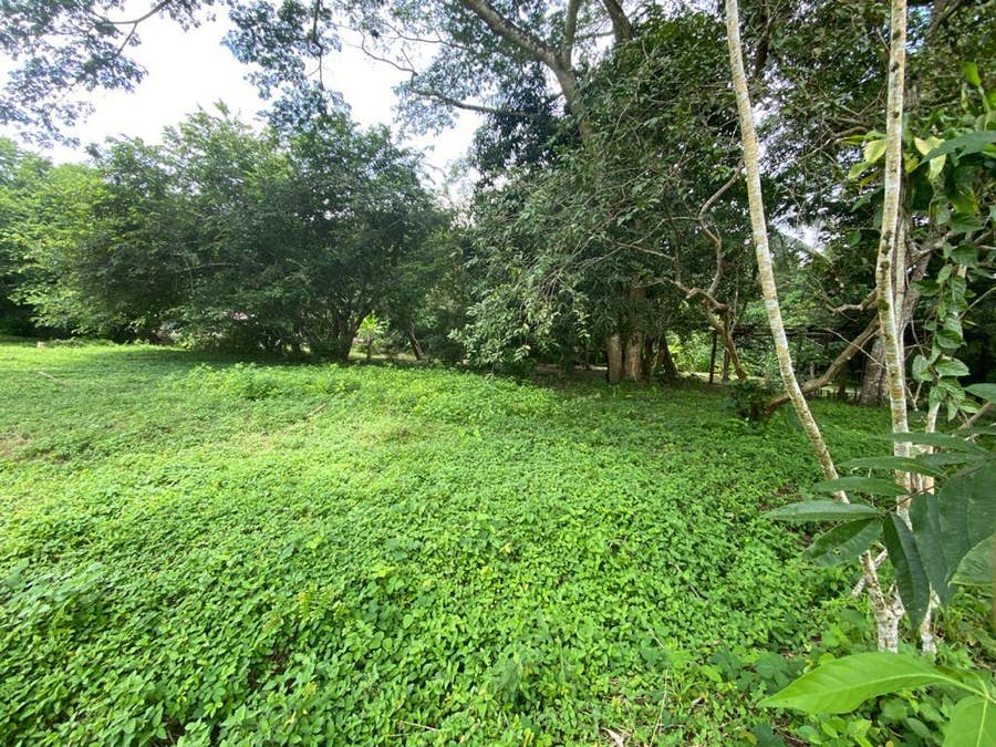 Property photo for Beautiful Flat Commercial and Residential Lot Manzanillo, Manzanillo, Santa Teresa, Cobano, Puntarenas, Puntarenas, Costa Rica