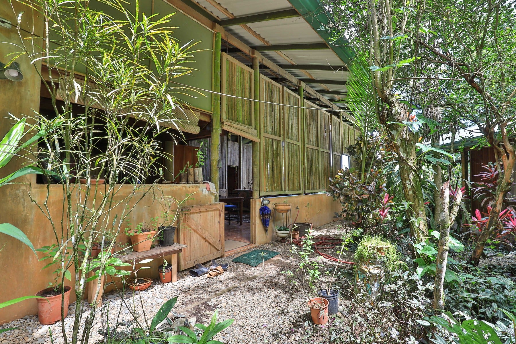 Finca Ipe  Platanillo — photo 10 of 19