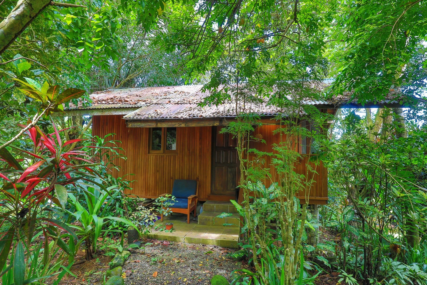 Finca Ipe  Platanillo — photo 11 of 19