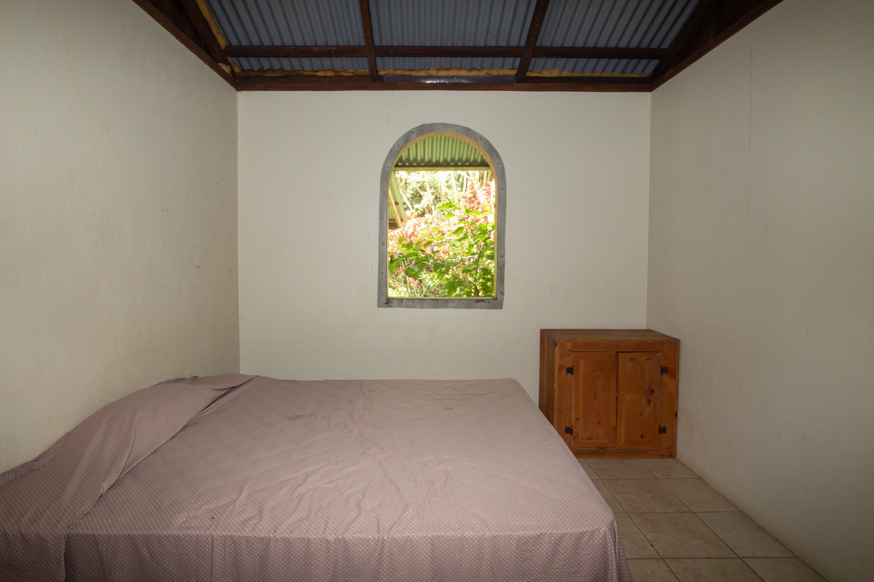 Finca Ipe  Platanillo — photo 15 of 19